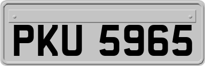PKU5965