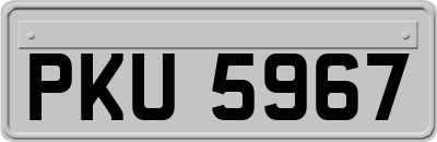 PKU5967