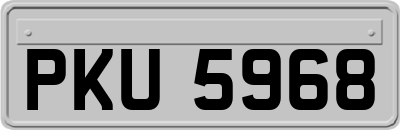 PKU5968