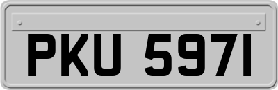 PKU5971