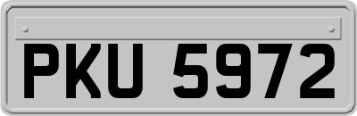 PKU5972