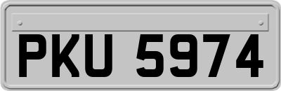PKU5974