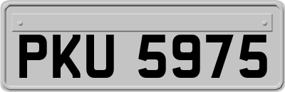 PKU5975