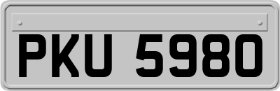 PKU5980