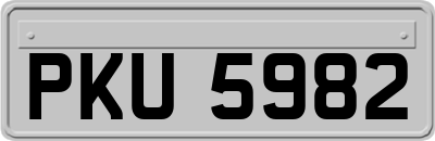 PKU5982