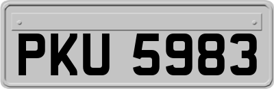 PKU5983