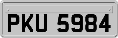 PKU5984