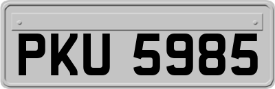 PKU5985
