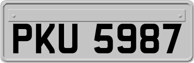 PKU5987