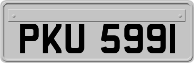 PKU5991
