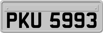 PKU5993