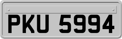 PKU5994