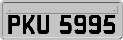 PKU5995
