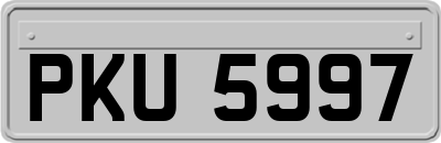 PKU5997