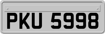 PKU5998
