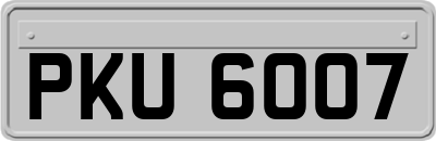 PKU6007