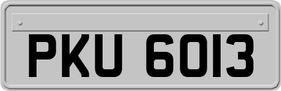 PKU6013