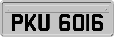 PKU6016