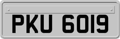 PKU6019