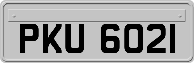 PKU6021