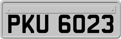 PKU6023