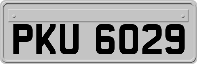PKU6029