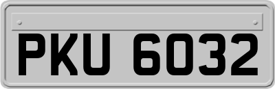 PKU6032