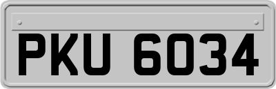PKU6034
