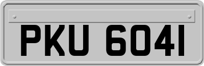 PKU6041