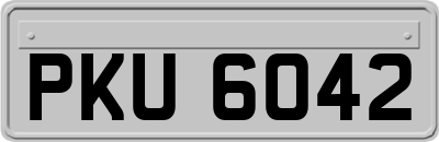 PKU6042