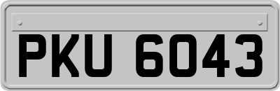 PKU6043