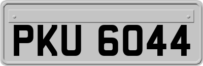 PKU6044