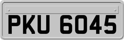 PKU6045