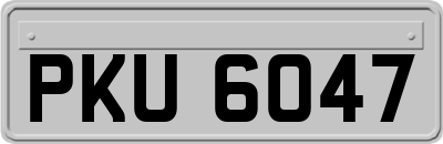 PKU6047