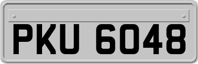 PKU6048