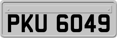 PKU6049