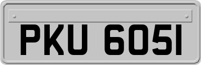 PKU6051
