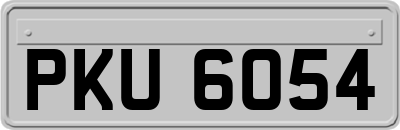 PKU6054
