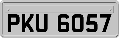 PKU6057