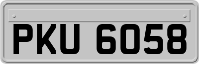 PKU6058