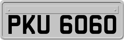 PKU6060