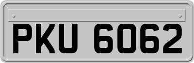 PKU6062