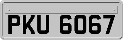 PKU6067