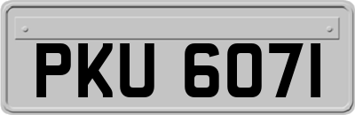 PKU6071