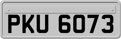 PKU6073