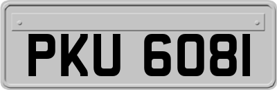 PKU6081