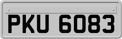 PKU6083