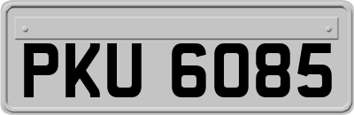 PKU6085