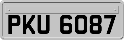 PKU6087