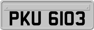 PKU6103